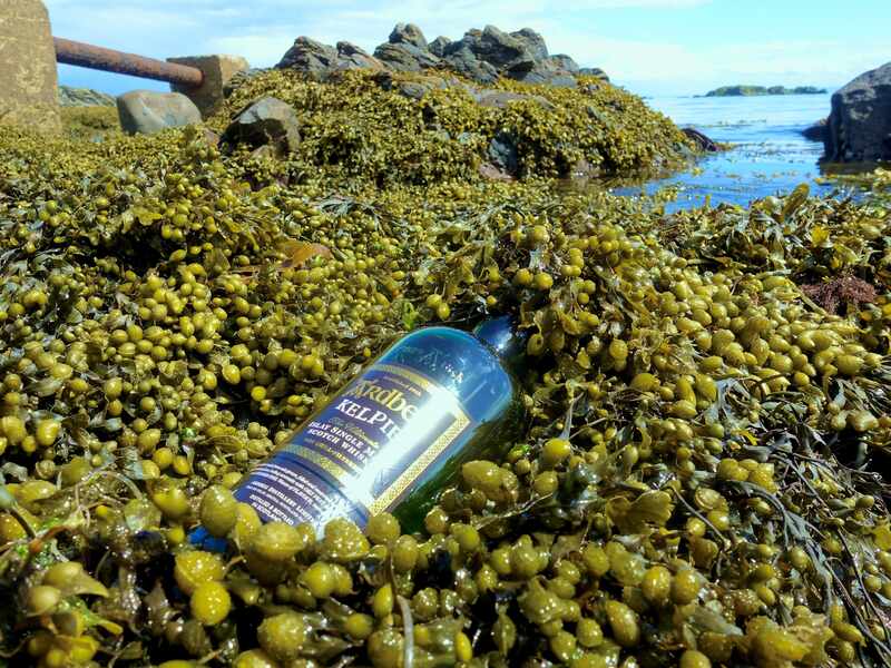 Ardbeg-Kelpie Flasche auf Algenbett